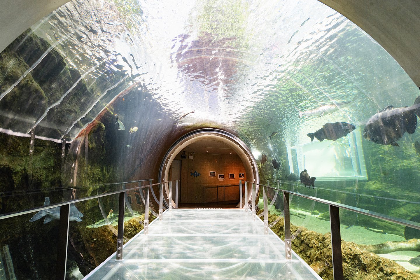 🐠 나카가와 물놀이 공원(나카가와 스이유엔)